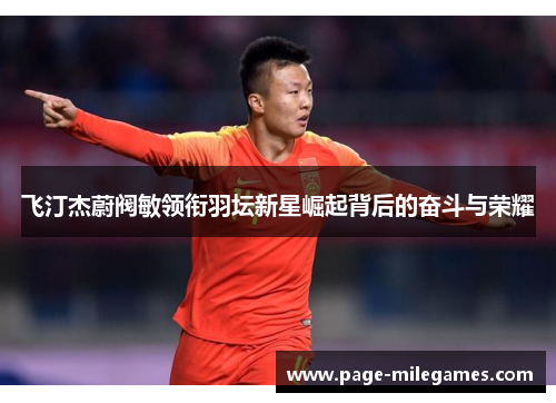 飞汀杰蔚阀敏领衔羽坛新星崛起背后的奋斗与荣耀