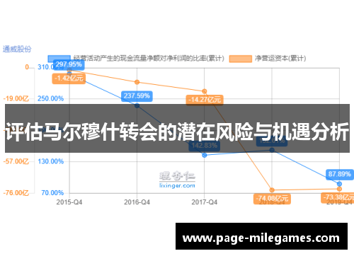 评估马尔穆什转会的潜在风险与机遇分析